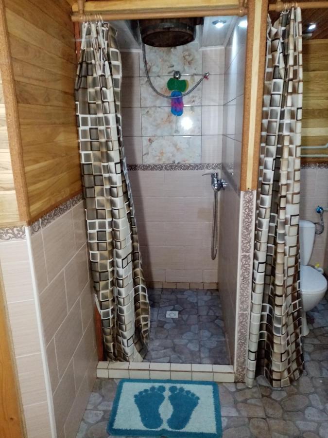 Садиба Федорчуків За Рікою1 شيشوري المظهر الخارجي الصورة