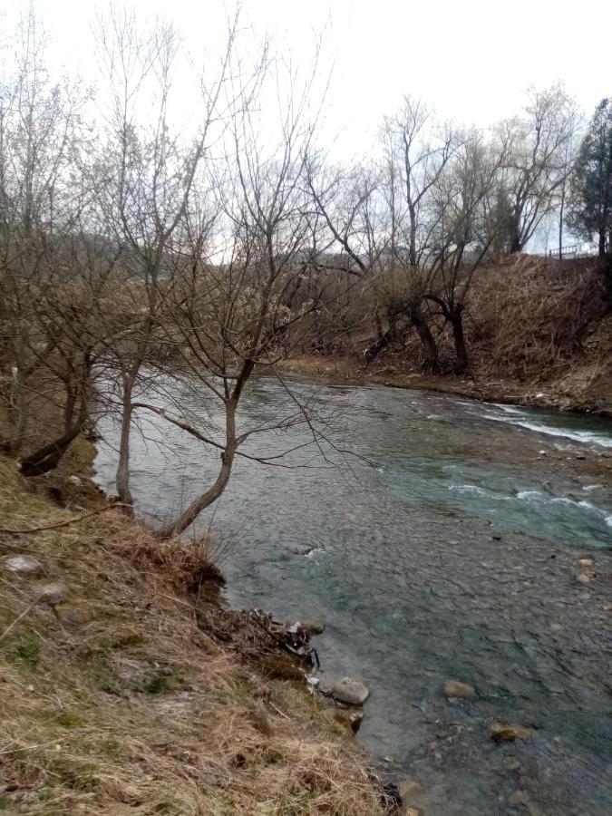 Садиба Федорчуків За Рікою1 شيشوري المظهر الخارجي الصورة